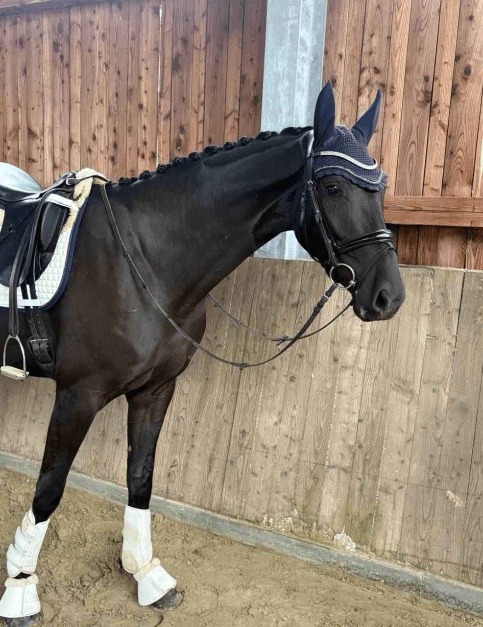 Furst's Bella thumbnail 2