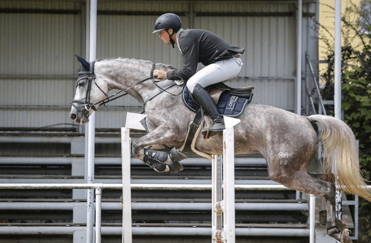 Viscount's Legacy - Image 1