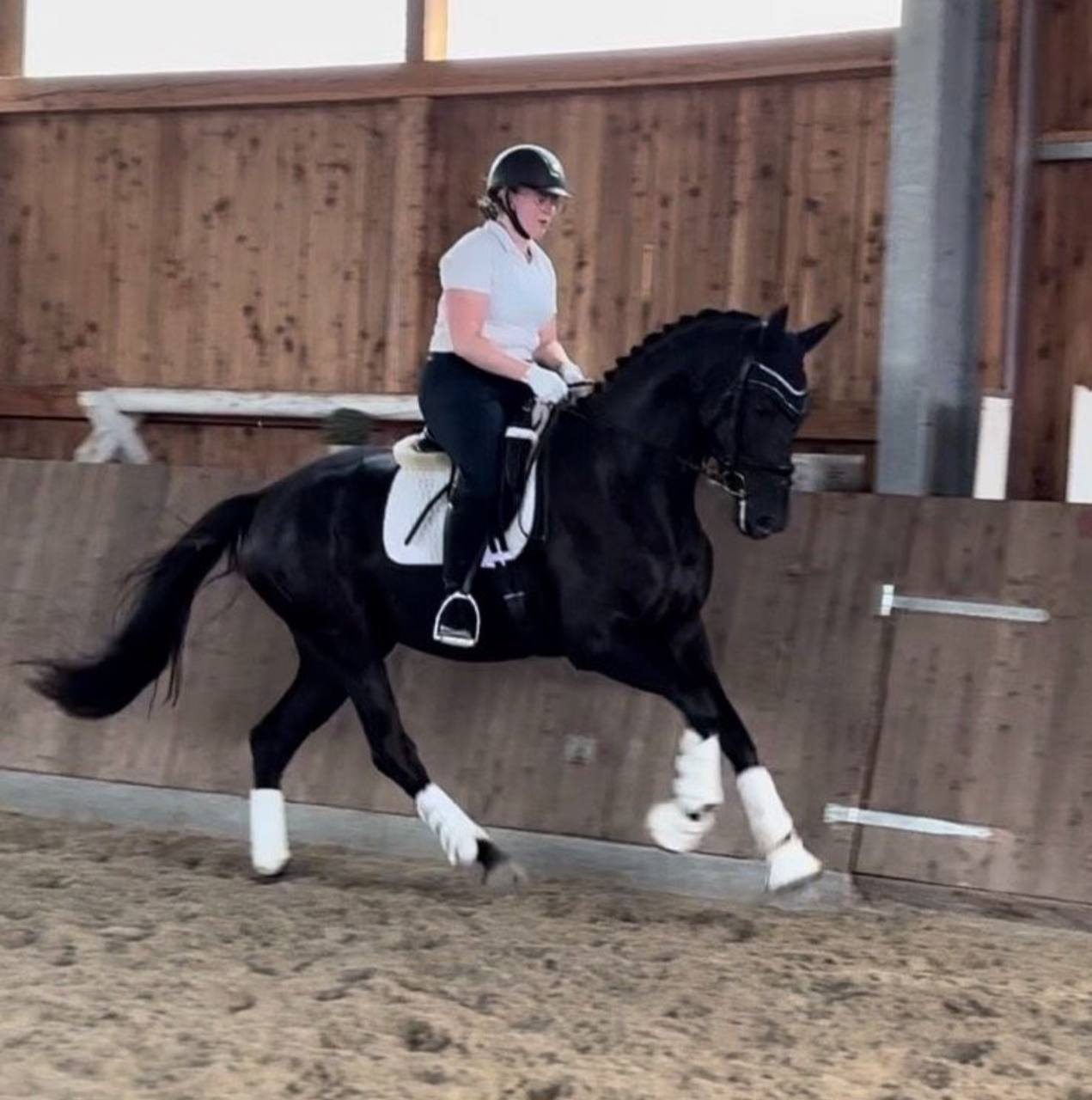 Fürst's Bella - Image 1