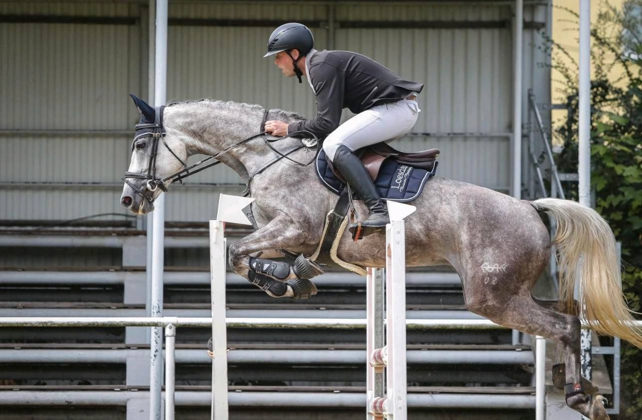 Viscount's Legacy - Image 1